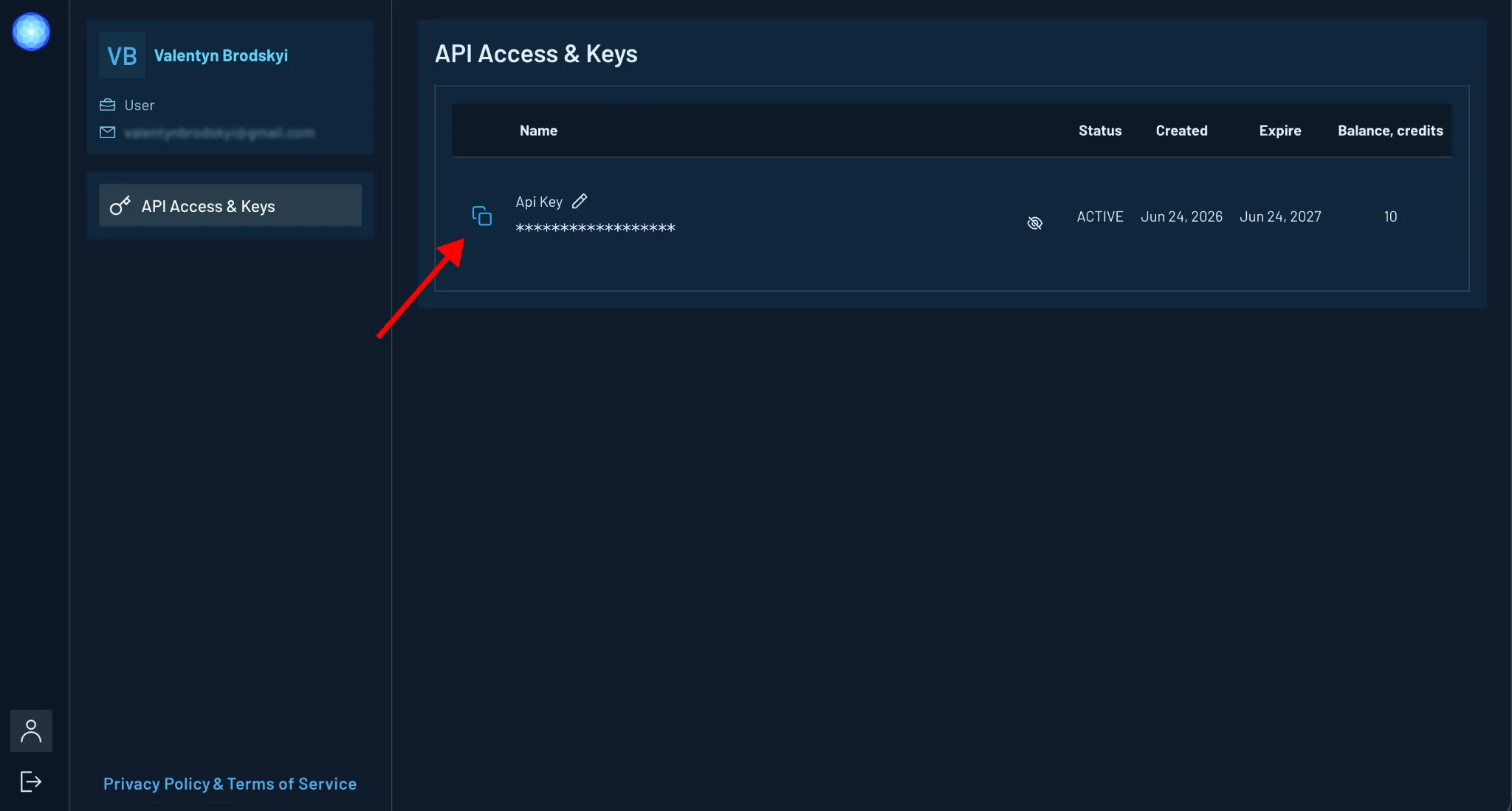 API Access and Keys page in the Gamma Earth dashboard, with the copy icon next to the API key highlighted