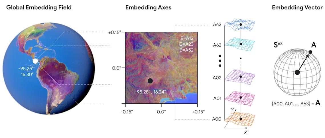 Diagram breaking a global embedding field down to a single 64-component embedding vector.