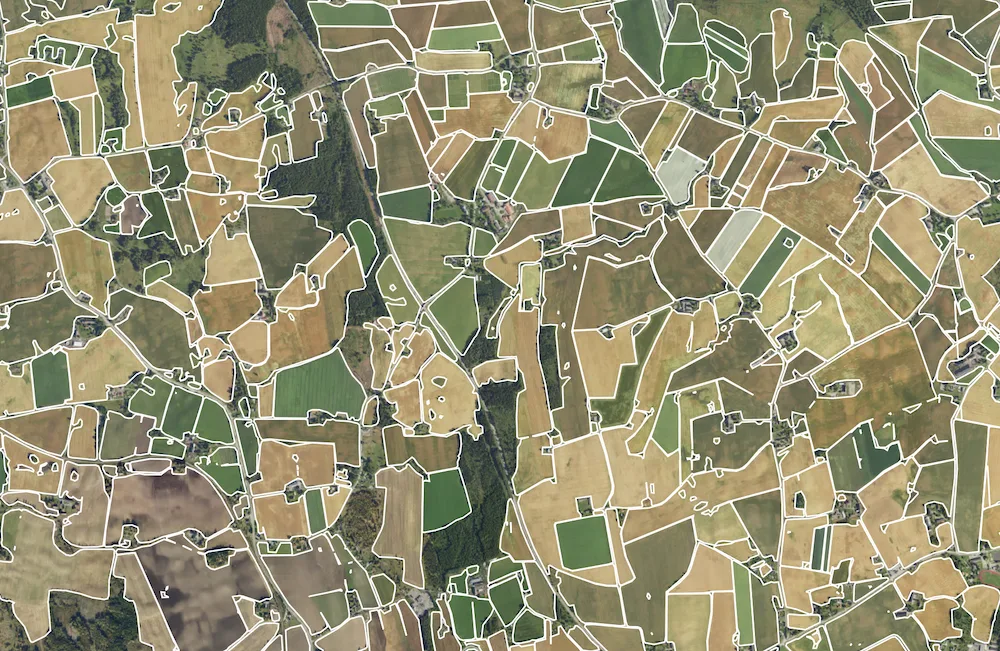 Agricultural landscape with field boundaries delineated as fine vector outlines over super-resolved imagery.