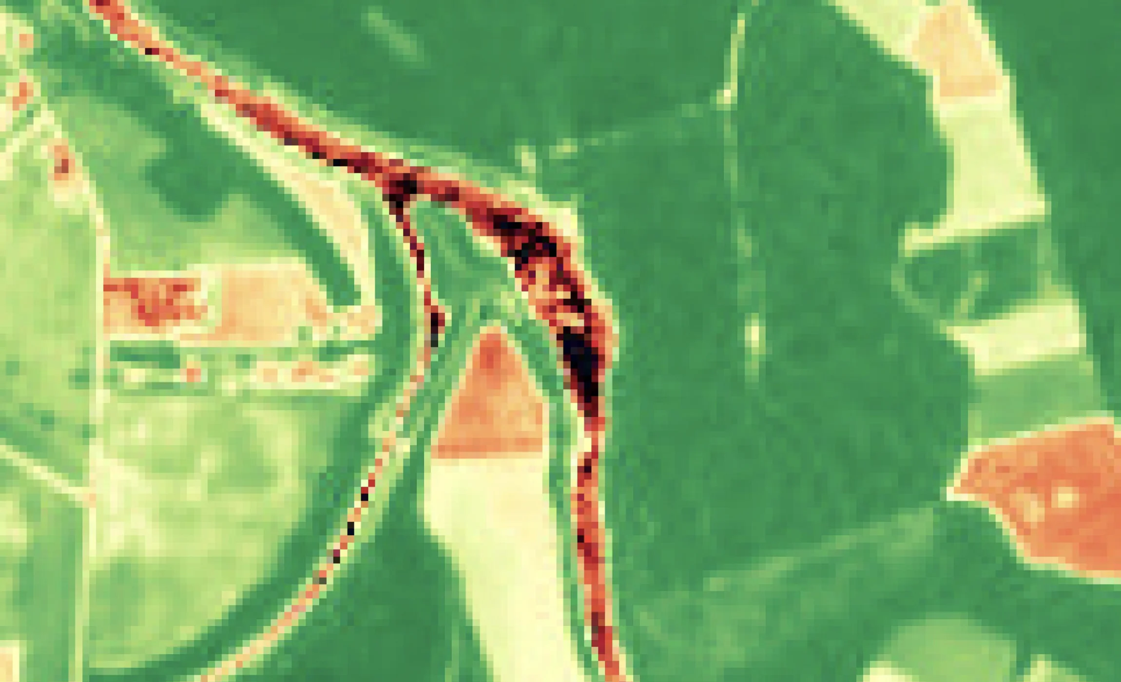 Sentinel-2 · 10 m: Agricultura
